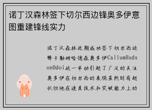 诺丁汉森林签下切尔西边锋奥多伊意图重建锋线实力 诺丁汉森林签下切尔西边锋奥多伊意图重建锋线实力