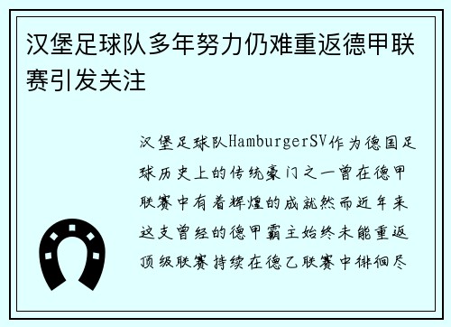 汉堡足球队多年努力仍难重返德甲联赛引发关注